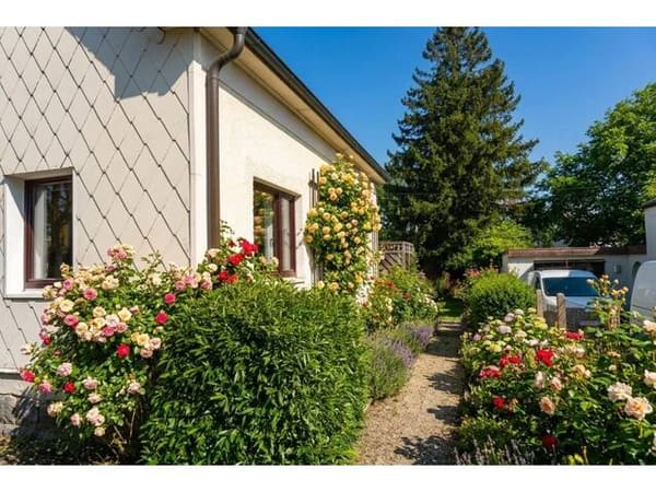 Immobilie in Ried im Innkreis - Wohnhaus und Garten - perfekte Größe für Paare, Freunde, Singles oder Kleinfamlien - Bild 2