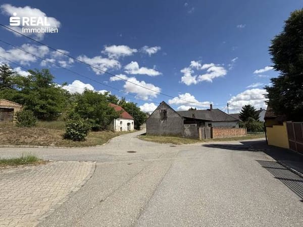 Immobilie in Loidesthal - charmantes Haus mit Garage und uneinsehbarem Innenhof - Bild 4