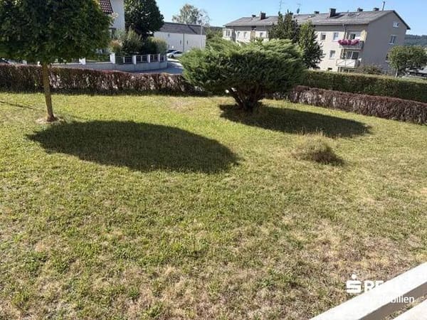 Immobilie in Bad Leonfelden - Eigentumswohnung in Bad Leonfelden - Bild 3