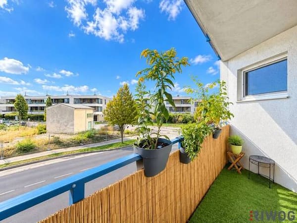 Immobilie in Korneuburg - Erholung zwischen Donau und Bisamberg I Balkon - Ruhelage - Stellplatz vorhanden I Nähe Landesklinikum Korneuburg I 30 Min bis Wiener Innenstadt - Bild 3