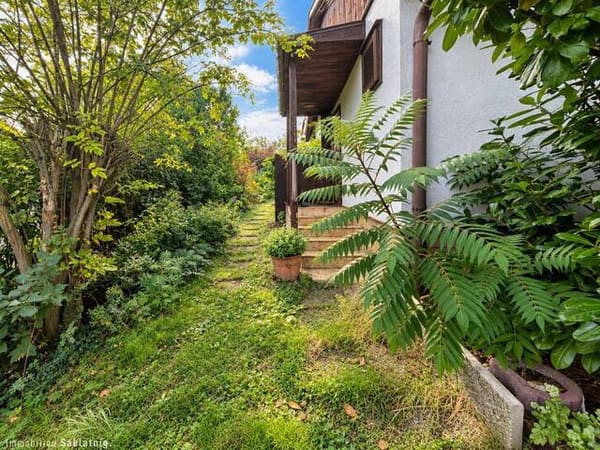 Immobilie in Pöttsching - Gemütliches Einfamilienhaus auf Pachtgrund mit Garten, Terrasse & 2 Stellplätzen in Pöttsching! - Bild 1
