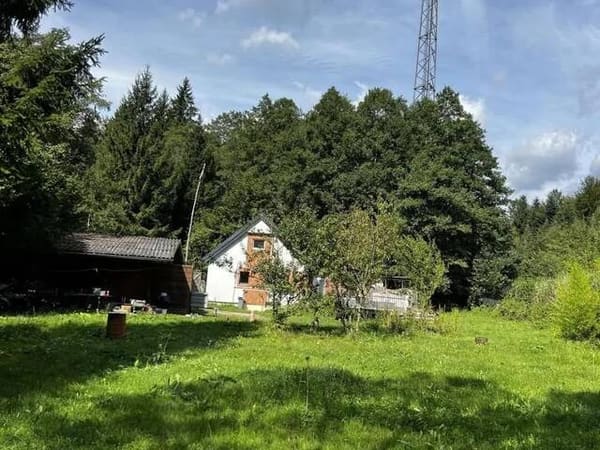 Immobilie in Vöcklabruck - Sacherl in Alleinlage vor den Toren Vöcklabrucks - Bild 0