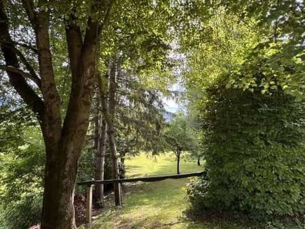 Immobilie in Gummern - Einzigartiger Kraftort im Drautal - Wohnhaus mit Parkanlage und Wald - Bild 2