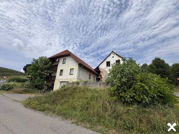 Immobilie in Riegersburg - Landwirtschaft mit 3 ha Grund Nähe Riegersburg - Bild 2