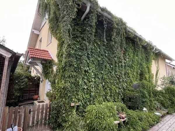 Immobilie in Königstetten - TOLLES, LEISTBARES WOHNJUWEL IN BESTLAGE VON KÖNIGSTETTEN MIT VIELEN HOCHWERTIGEN AUSSTATTUNGSDETAILS UND HOHER LEBENSQUALITÄT - Bild 2