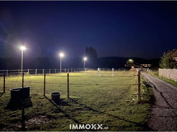 Immobilie in St. Margarethen an der Raab - Ein Paradies für Pferdeliebhaber – Exklusive Alleinlage inmitten unberührter Natur Freiheit, Ruhe und grenzenlose Möglichkeiten - Bild 4