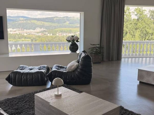 Immobilie in Linz / Plesching - Einfamilienhaus mit Pool und unverbaubarem Blick über den Pleschinger See bis Linz - Bild 4