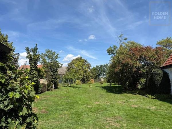 Immobilie in Großkrut - Hochwertiges Anwesen mit repräsentativen Garten - Bild 2