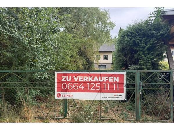 Immobilie in Kleinsitzendorf - 3.348 M² BAULAND MIT WOHNHAUS UND ENTWICKLUNGSPOTENZIAL - Bild 3