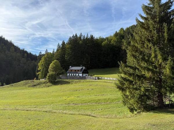 Immobilie in Mariazell - RARITÄT IM FADENTAL - Bild 0