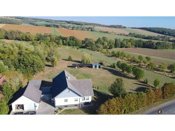 Immobilie in Weiden bei Rechnitz - Unterkellertes Einfamilienhaus mit Doppelgarage auf großem Grund (ca. 1 ha) - Bild 1