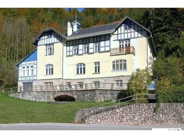 Immobilie in Weyer - Original erhaltenes villenartiges Jugendstil-Kurhaus mit großem Potential - Bild 3