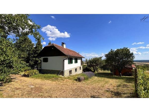 Immobilie in Markt Neuhodis - Kellerstöckl mit traumhaftem Fernblick in den Weinbergen des Südburgenlandes - Bild 3