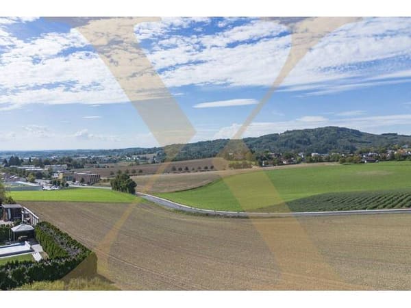Immobilie in Leonding - Seltene Gelegenheit in begehrter Leondinger Wohnlage - Bild 0