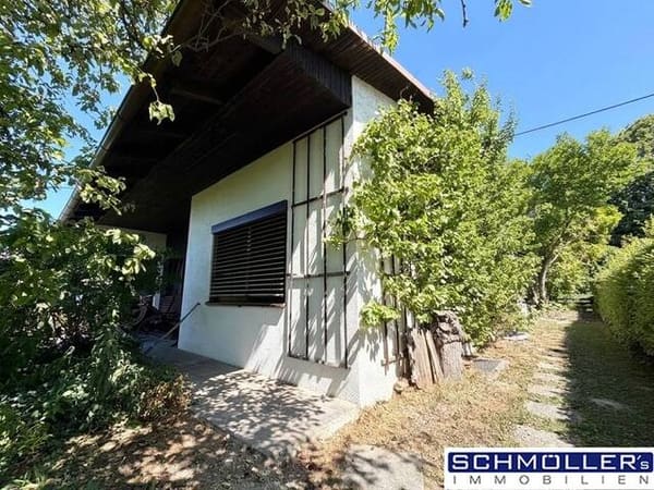 Immobilie in Grieskirchen - Schönes Einfamilienhaus - Bungalowbauweise, in grüner Ruhelage am Stadtrand von Grieskirchen - Unverbaubare Hanglage mit Blick bis in die Alpen - Bild 1