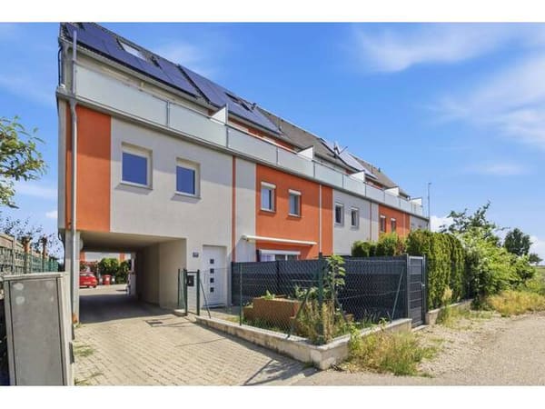 Immobilie in Gerasdorf bei Wien - + SCHNÄPPCHEN + mit TERRASSE, GARTEN und STELLPLATZ - Bild 3