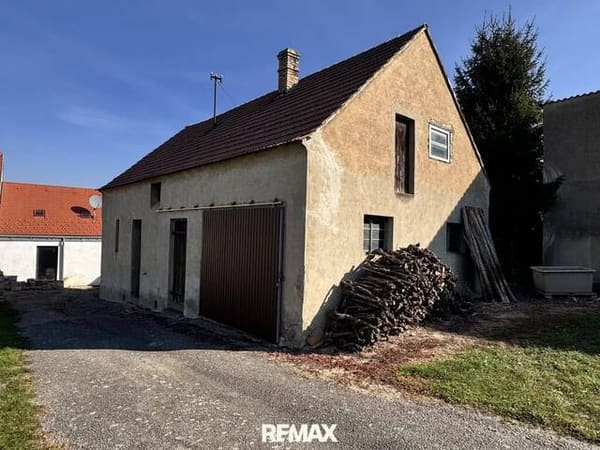 Immobilie in Niederschleinz - Bauernhäuschen mit Innenhof und große Lagerhalle - Bild 1