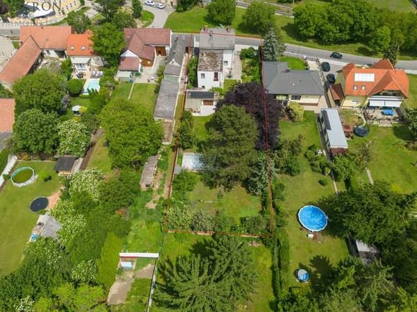Immobilie in Bad Pirawarth - Altbau-Juwel im Dornröschenschlaf: Wer erweckt mich zu neuem Glanz? - Bild 2