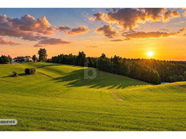 Immobilie in Maria Schmolln - PANORAMABLICK IN MARIA SCHMOLLN ? GARTENWOHNUNG ODER PENTHOUSE: SIE HABEN DIE WAHL - Bild 3