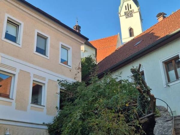 Immobilie in Mauthausen - Charakteristisches Markthaus im Stadtzentrum - Bild 1
