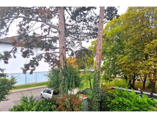 Immobilie in Tulln an der Donau - Familienfreundliche, zentrumsnahe 3 Zimmer-Wohnung mit kleiner Loggia in Grünruhelage von Tulln! - Bild 3