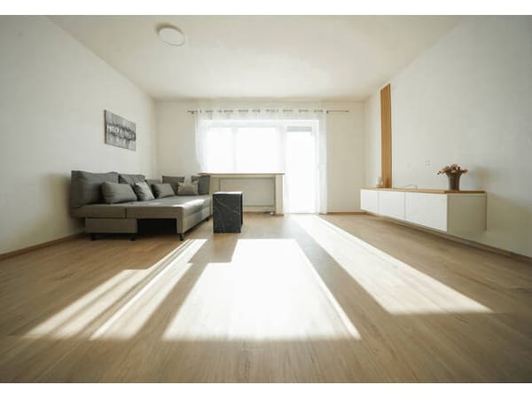 Immobilie in Zwischenwasser - Modernisierte Ferienwohnung hoch über dem Rheintal - Bild 1