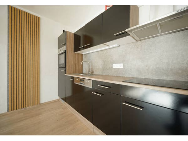 Immobilie in Zwischenwasser - Modernisierte Ferienwohnung hoch über dem Rheintal - Bild 3