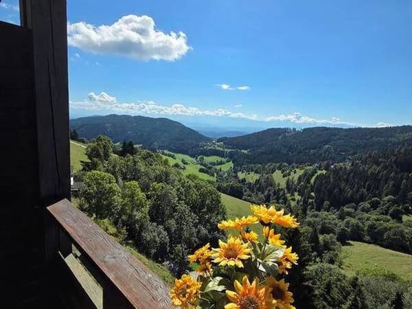 Immobilie in St. Urban - FERIENWOHNUNG in KÄRNTEN ca. 48m2 über der Nebelgrenze - Bild 1
