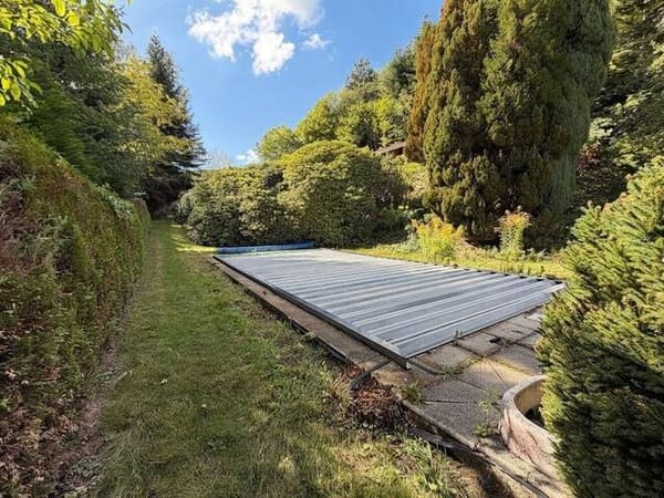 Immobilie in Weißpyhra - Außergewöhnliche Liegenschaft im Waldviertel - Alleinlage, Pool, Obstgarten, Wald und viel Potenzial - Bild 2