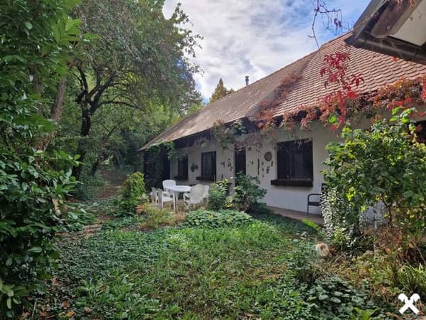Immobilie in Großmeiseldorf - LIEBEVOLLES, SANIERUNGSBEDÜRFTIGES LANDHAUS IN GRÜNRUHELAGE MIT GESCHLOSSENEM INNENHOF UND HERRLICHEM GARTEN MIT ALTBAUMBESTAND - Bild 0