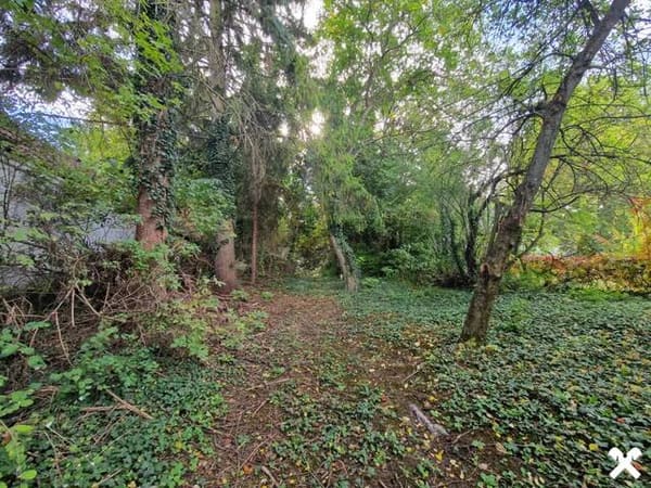 Immobilie in Großmeiseldorf - LIEBEVOLLES, SANIERUNGSBEDÜRFTIGES LANDHAUS IN GRÜNRUHELAGE MIT GESCHLOSSENEM INNENHOF UND HERRLICHEM GARTEN MIT ALTBAUMBESTAND - Bild 1