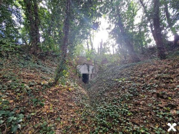Immobilie in Großmeiseldorf - LIEBEVOLLES, SANIERUNGSBEDÜRFTIGES LANDHAUS IN GRÜNRUHELAGE MIT GESCHLOSSENEM INNENHOF UND HERRLICHEM GARTEN MIT ALTBAUMBESTAND - Bild 2