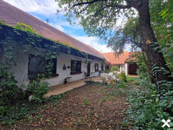 Immobilie in Großmeiseldorf - LIEBEVOLLES, SANIERUNGSBEDÜRFTIGES LANDHAUS IN GRÜNRUHELAGE MIT GESCHLOSSENEM INNENHOF UND HERRLICHEM GARTEN MIT ALTBAUMBESTAND - Bild 3