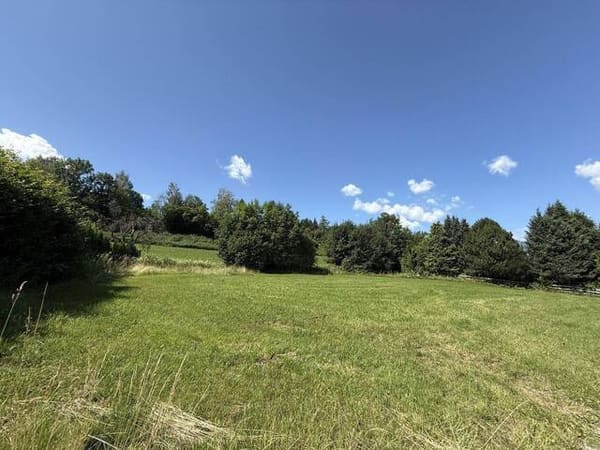 Immobilie in Aigen im Ennstal - Zweitwohnsitz zwischen Schladming und dem Ausseerland - Bild 3
