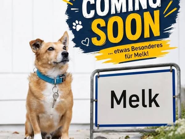 Immobilie in Melk - VORANKÜNDIGUNG! Einfamilienhaus in sehr guter Lage in 3390 Melk! - Bild 0