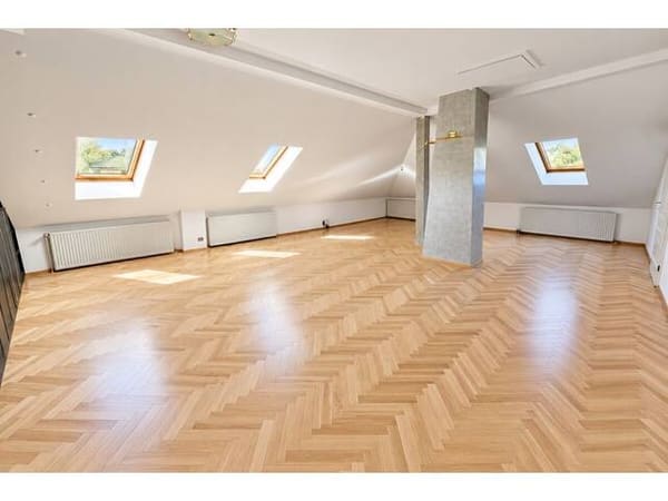 Immobilie in Maria Enzersdorf - Viel Platz für die ganze Familie! Renovierte 7 Zimmer in Maria Enzersdorf. - Bild 4