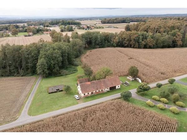 Immobilie in Deutsch Goritz - Älteres Bauerngehöft mit 2,6 Hektar umliegenden Wiesen und Waldgrund - Verdoppelung möglich - alter Rohbaukeller vorhanden - Bild 0