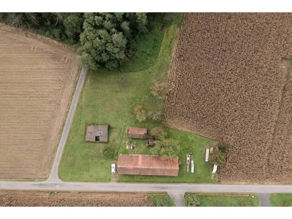 Immobilie in Deutsch Goritz - Älteres Bauerngehöft mit 2,6 Hektar umliegenden Wiesen und Waldgrund - Verdoppelung möglich - alter Rohbaukeller vorhanden - Bild 1