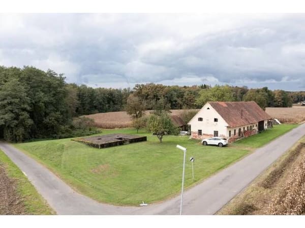 Immobilie in Deutsch Goritz - Älteres Bauerngehöft mit 2,6 Hektar umliegenden Wiesen und Waldgrund - Verdoppelung möglich - alter Rohbaukeller vorhanden - Bild 2