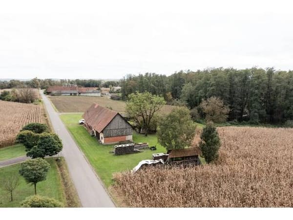 Immobilie in Deutsch Goritz - Älteres Bauerngehöft mit 2,6 Hektar umliegenden Wiesen und Waldgrund - Verdoppelung möglich - alter Rohbaukeller vorhanden - Bild 3