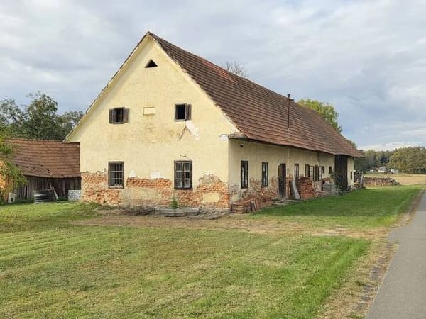 Immobilie in Deutsch Goritz - Älteres Bauerngehöft mit 2,6 Hektar umliegenden Wiesen und Waldgrund - Verdoppelung möglich - alter Rohbaukeller vorhanden - Bild 4