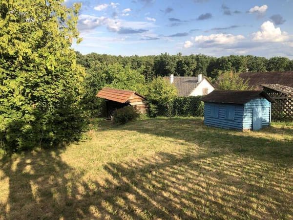 Immobilie in Strem - Schönes, ruhig gelegenes Kellerstöckl mit 3589 m2 Grundstück - Bild 3