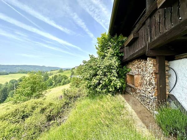 Immobilie in Griffen - Wo die Ruhe zu Hause ist – Almhütte mit Sauna und Fernblick - Bild 4
