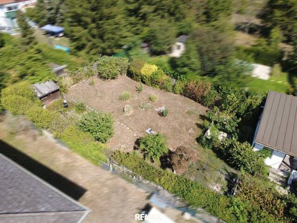 Immobilie in Tulln an der Donau - Zwei Wohnhäuser mit Garten und vielfältigen Gestaltungsmöglichkeiten in Tulln - Bild 3
