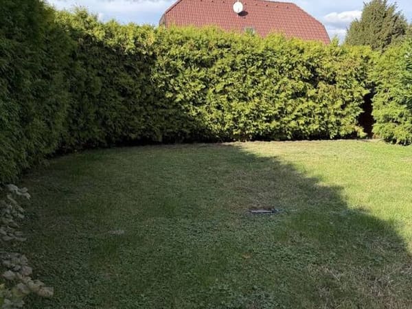 Immobilie in Maria Ellend - Wohnglück in Maria Ellend - Bild 1