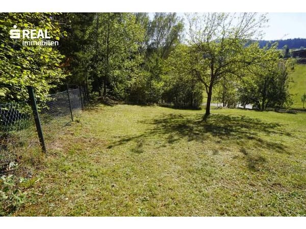 Immobilie in Groß Gerungs - Tolles Wohnhaus mit Nebengebäude in Alleinlage und angrenzendem Waldstück - Bild 4