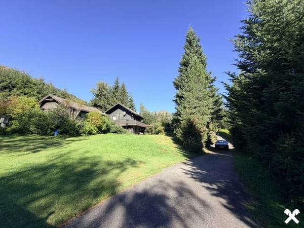 Immobilie in St. Johann am Tauern Schattseite - NATURREFUGIUM MIT ENTWICKLUNGSPOTENZIAL - Bild 4