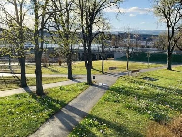 Immobilie in Ternitz - 4 Eigentumswohnungen in Bestlage zum günstigen Paketpreis - Bild 3