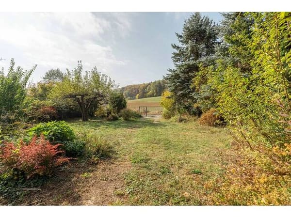 Immobilie in Thal - Ruhe, Wald und Graz in der Nähe: 279 m² Einfamilienhaus mit großem Garten zum Selbstgestalten - Bild 2