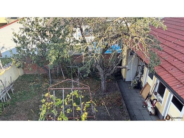 Immobilie in Sollenau - Haus statt Wohnung: Eigengrund, Dachterrasse & viel Potenzial! - Bild 3